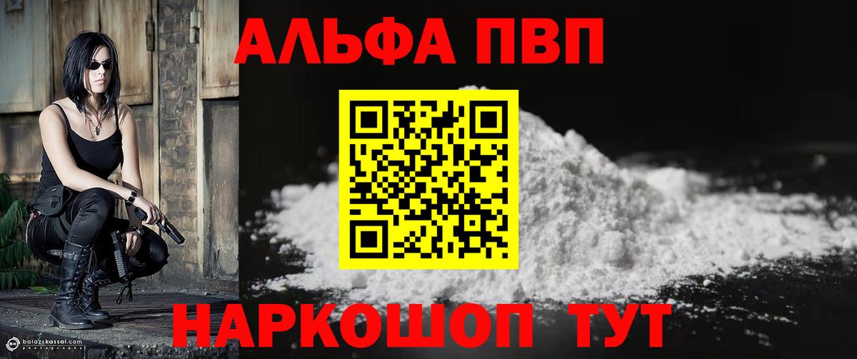 Alfa_PVP СК Ленинск-Кузнецкий
