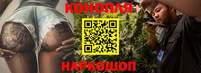 гидра Краснодар