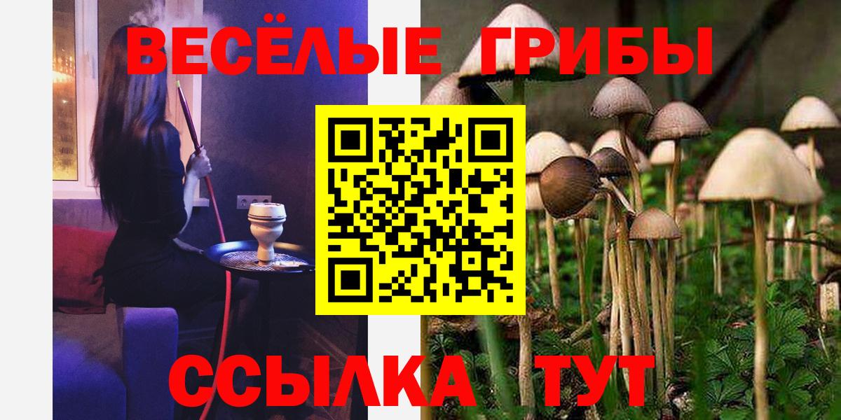 Псилоцибиновые грибы мухоморы Ленинск-Кузнецкий