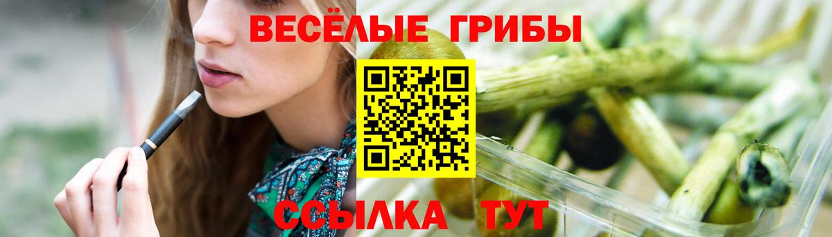 Ленинск-Кузнецкий  Галлюциногенные грибы прущие грибы  Вход с VPN  наркота  Псилоцибиновые грибы Cubensis 